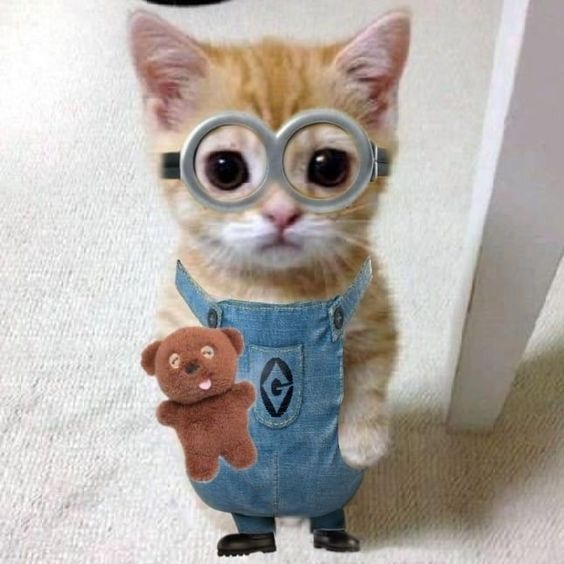 Сергей Кузнецов